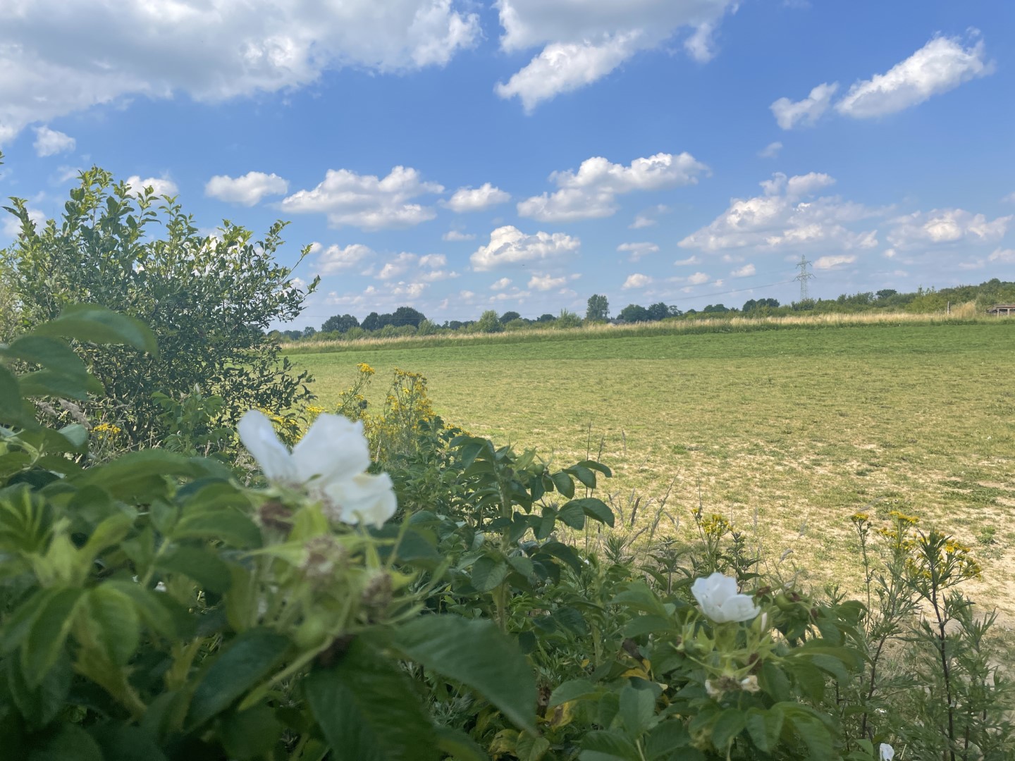 Camperplaats ‘De Vilt’ Beugen